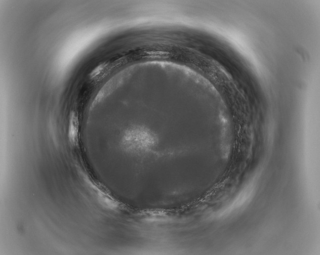 X0000111230194200908131129
