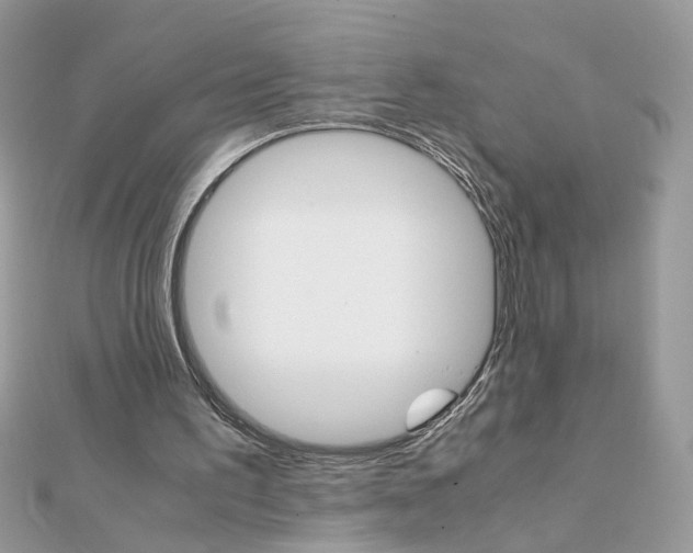 X0000111230195200908131129