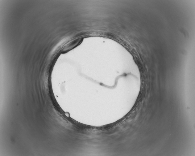 X0000111230197200908131129