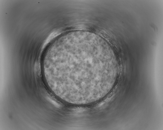 X0000111230198200908131129