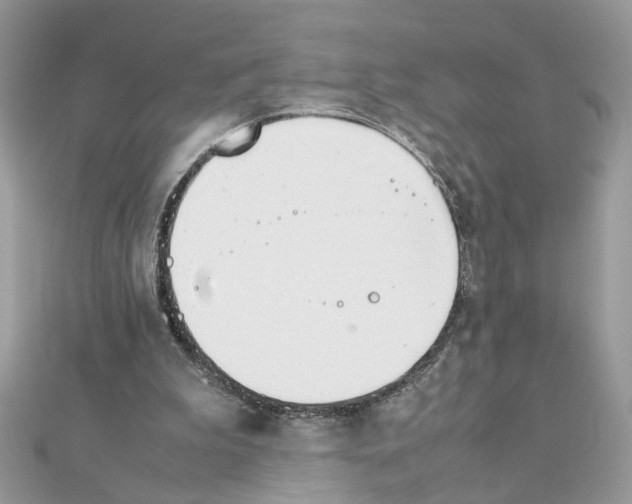 X0000111230199200908131129