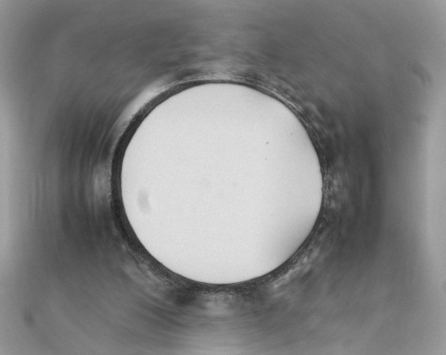 X0000111230200200908131129