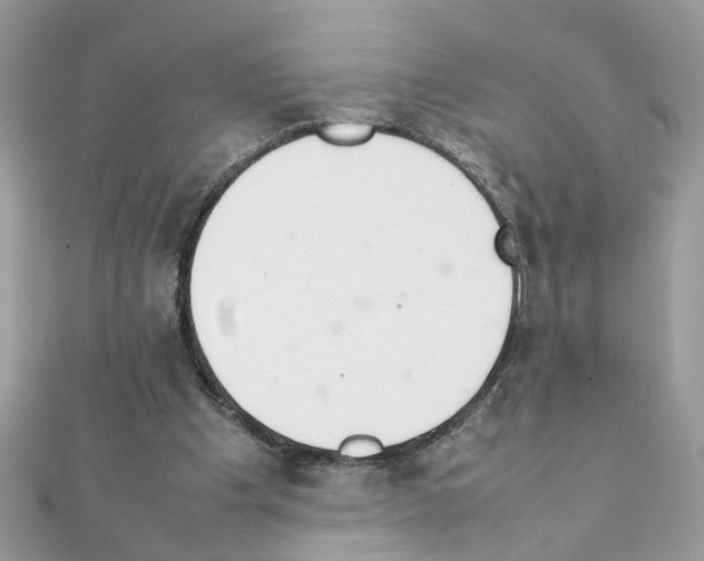 X0000111230201200908131129