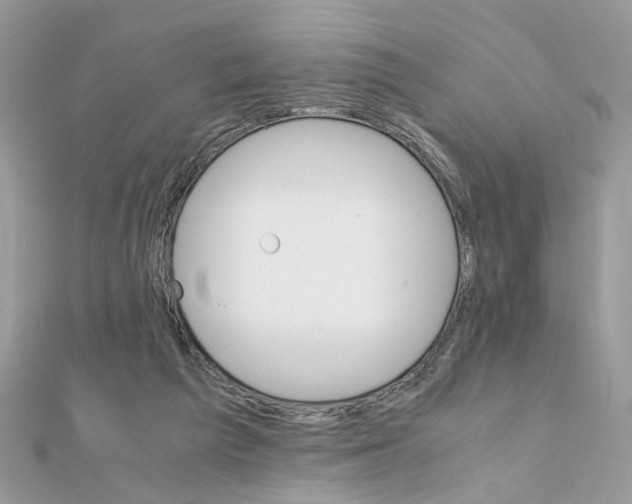 X0000111230209200908131129