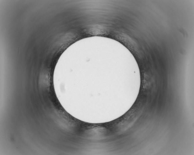 X0000111230210200908131129
