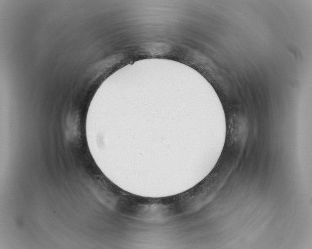 X0000111230212200908131129
