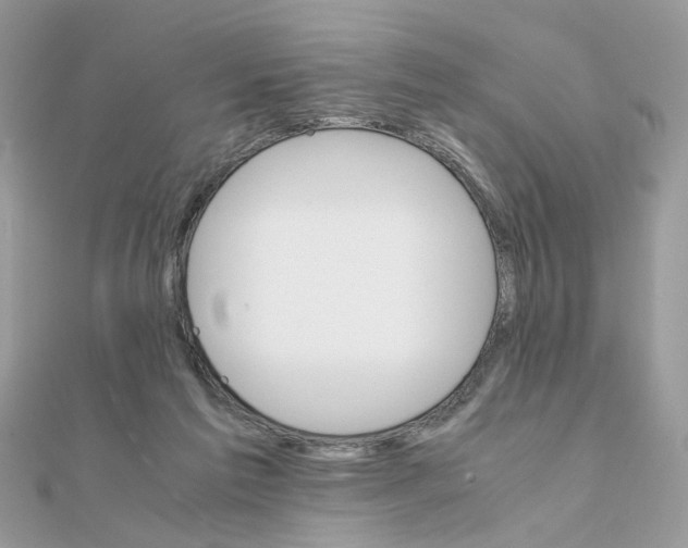 X0000111230213200908131129