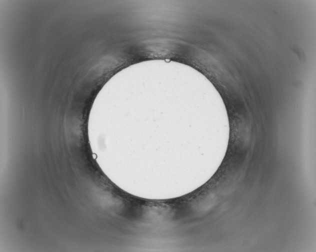 X0000111230215200908131129