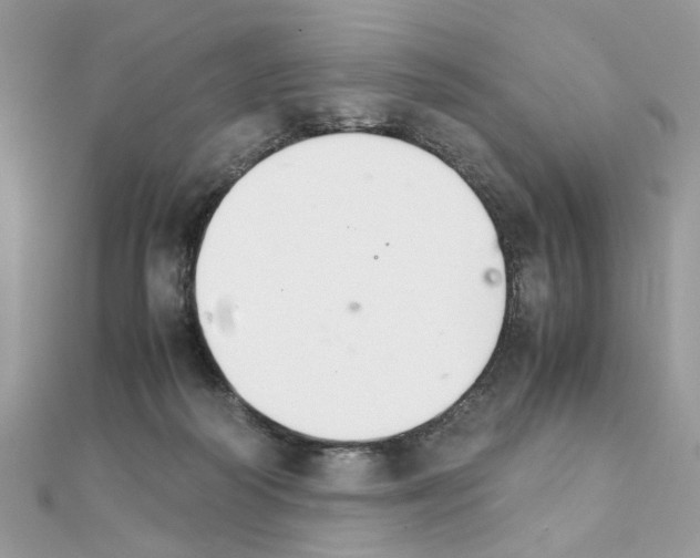X0000111230218200908131129