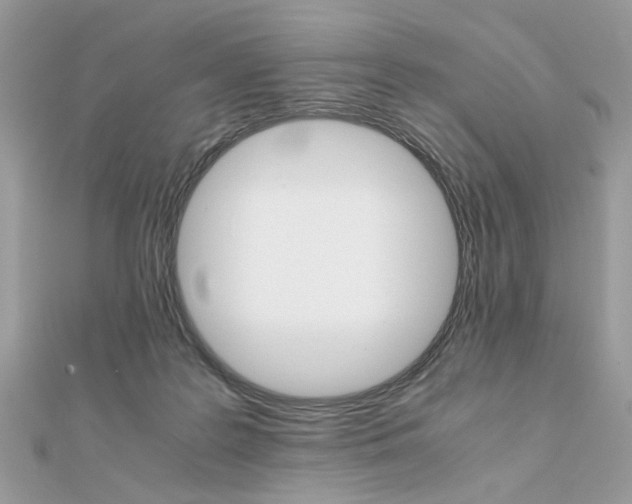 X0000111230219200908131129