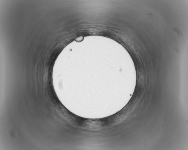 X0000111230221200908131129