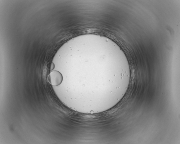X0000111230222200908131129