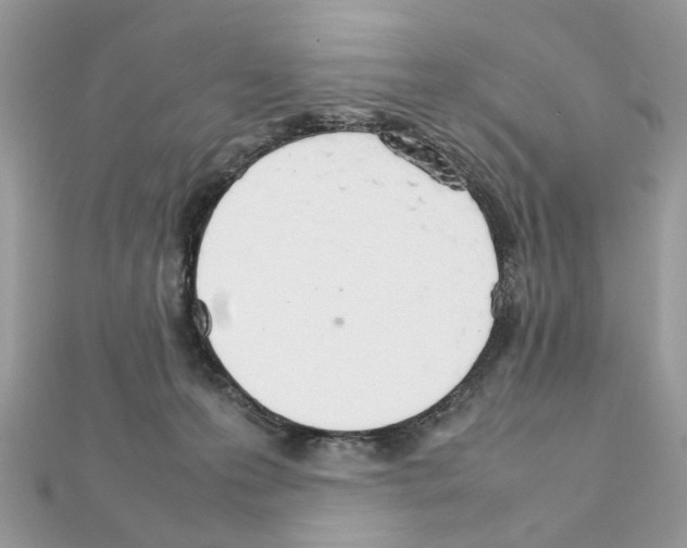 X0000111230223200908131129