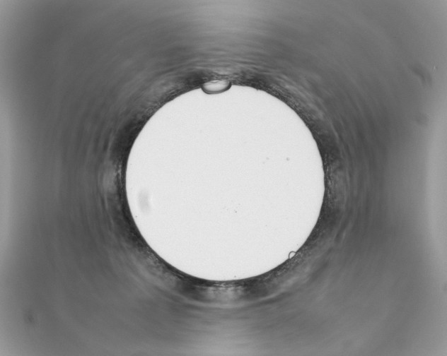X0000111230225200908131129