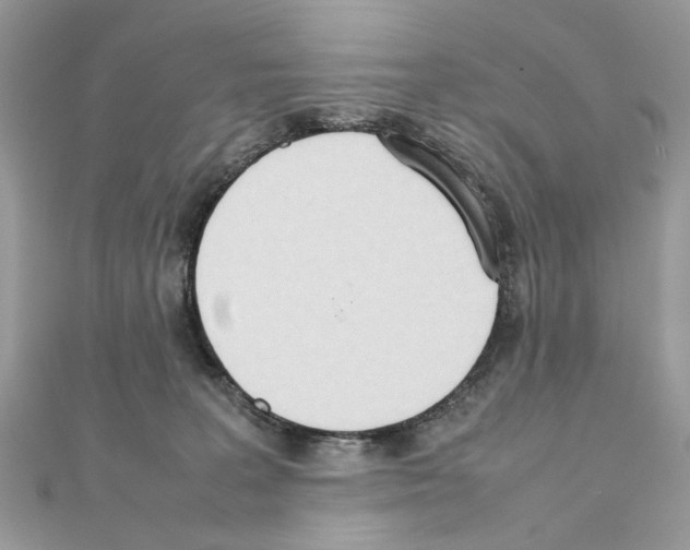 X0000111230227200908131129