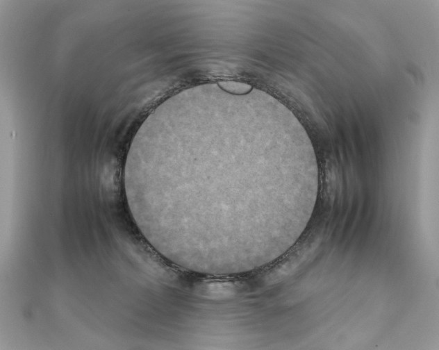 X0000111230228200908131129