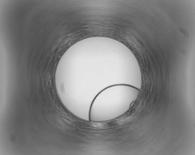 X0000111230229200908131129