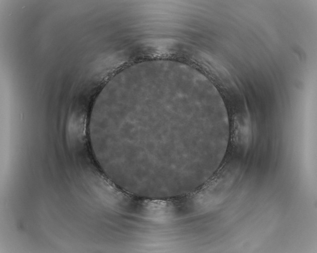 X0000111230230200908131129