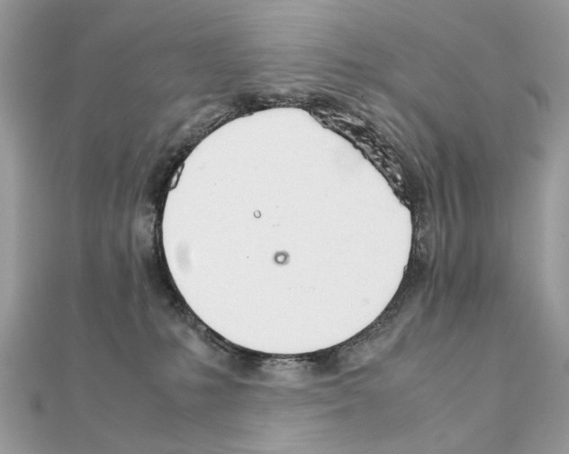 X0000111230231200908131129