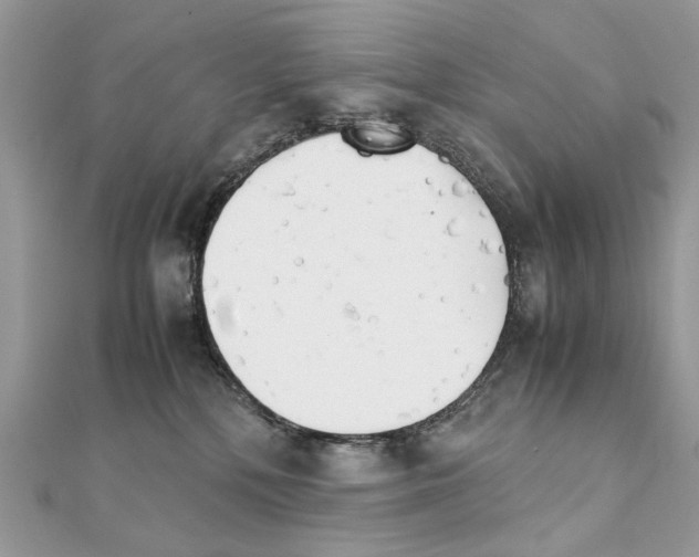 X0000111230232200908131129