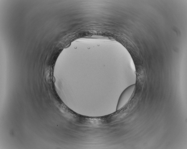 X0000111230233200908131129