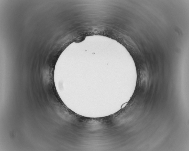 X0000111230236200908131129
