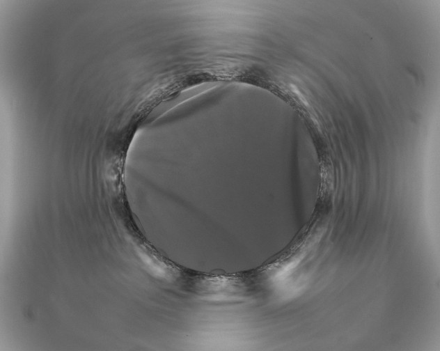 X0000111230237200908131129