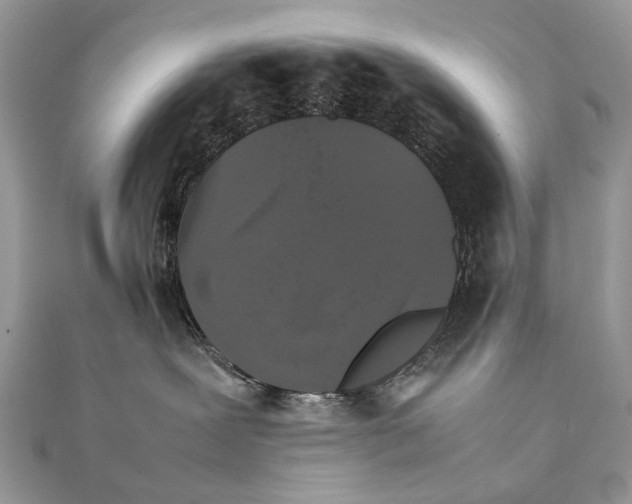 X0000111230239200908131129