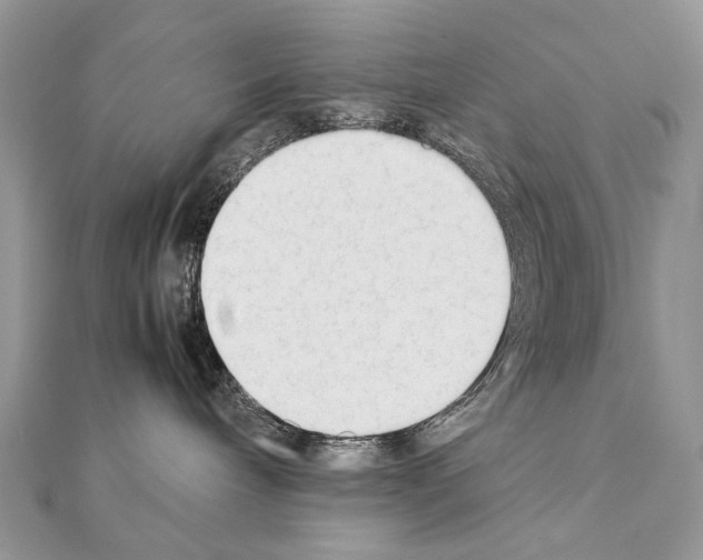 X0000111230240200908131129