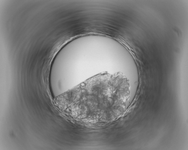 X0000111230241200908131128