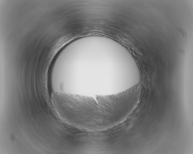 X0000111230242200908131128