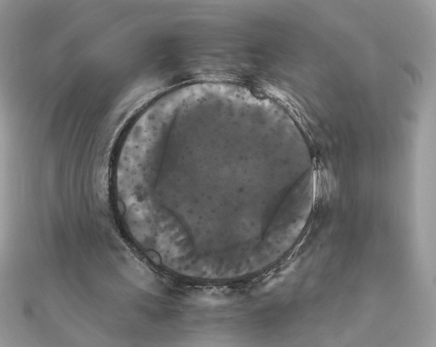 X0000111230243200908131128