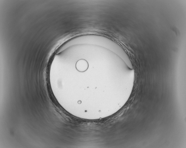 X0000111230244200908131128