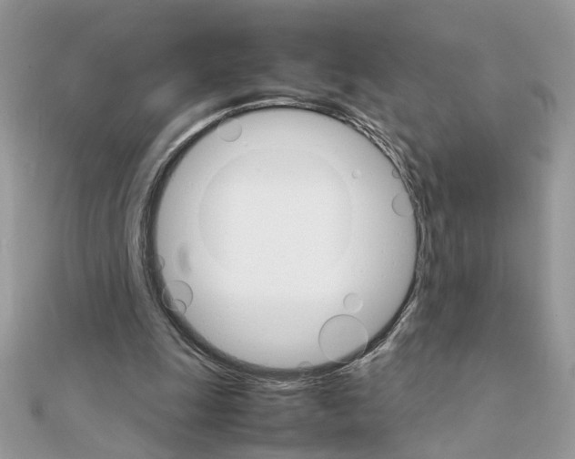 X0000111230247200908131128