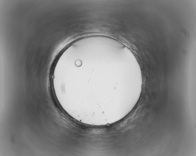 X0000111230248200908131128