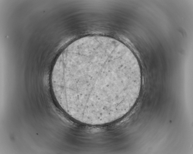 X0000111230249200908131128