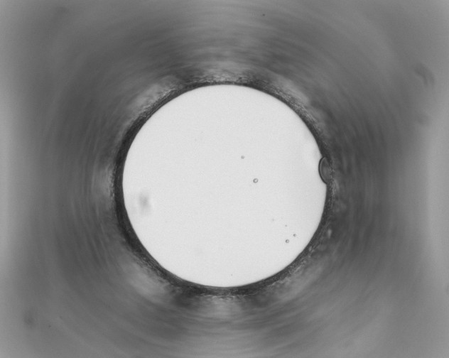 X0000111230250200908131128