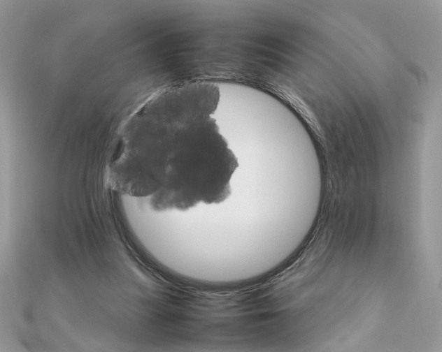X0000111230251200908131128