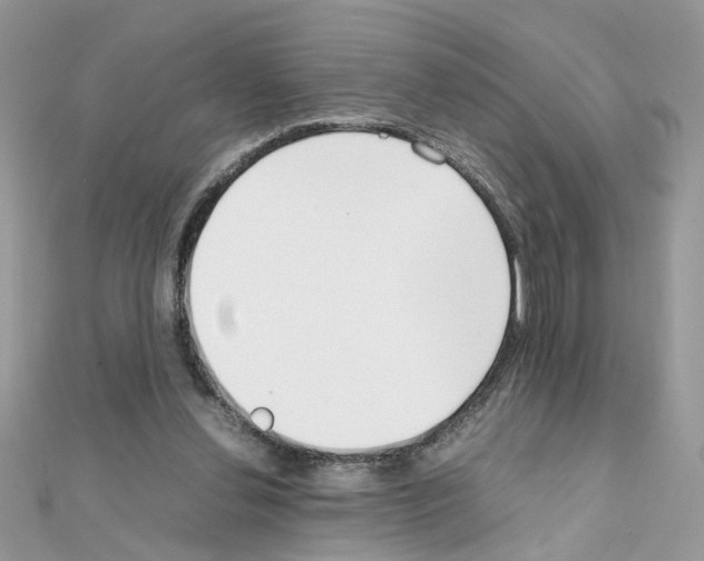 X0000111230252200908131128