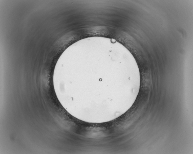 X0000111230255200908131128