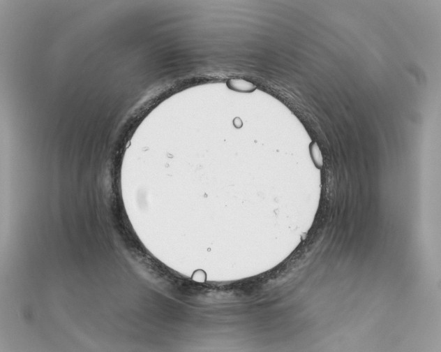 X0000111230256200908131128