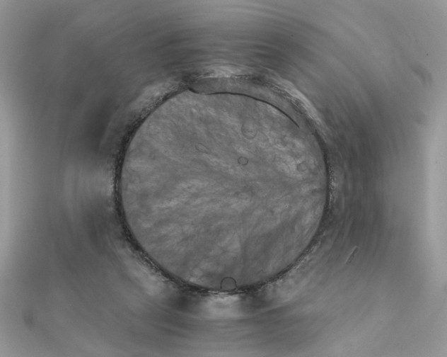 X0000111230257200908131128