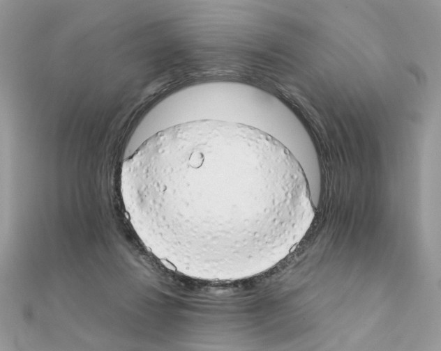X0000111230260200908131129