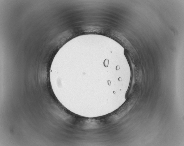 X0000111230261200908131129