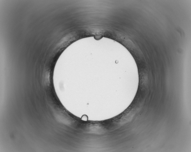 X0000111230262200908131129