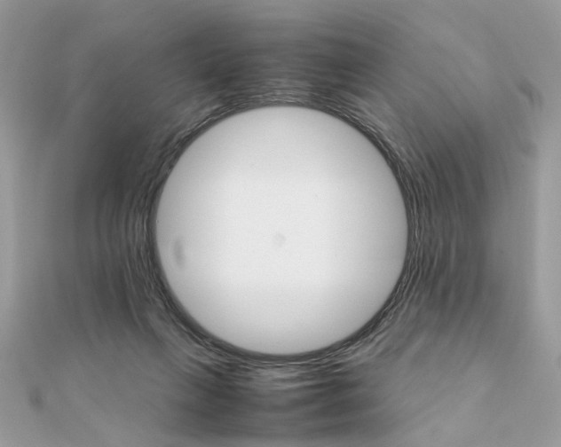 X0000111230263200908131129