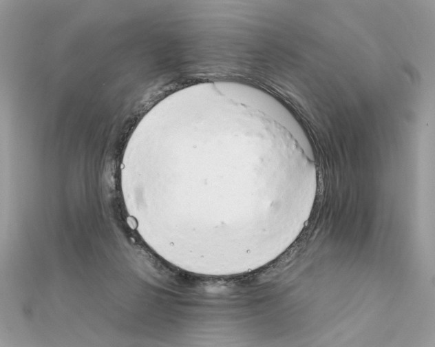 X0000111230264200908131129