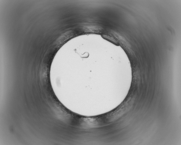 X0000111230265200908131129