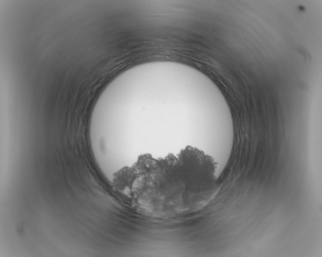 X0000111230266200908131129