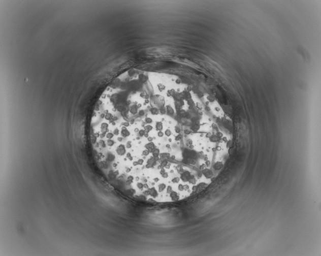 X0000111230267200908131129